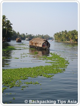 Houseboats in Alleppey, Kerala