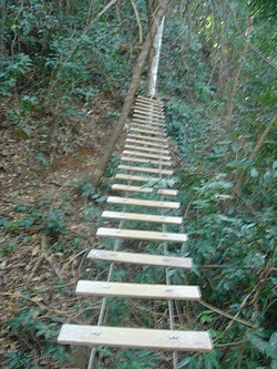 Crossing the tree bridge at Tree Top adventure in Ko Chang island