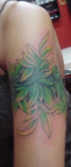My friend's tattoo around her arm: green leaves from Dejavu tattoo in Chang Mai Thailand
