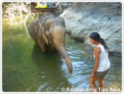 Me close to an elephant in Koh Chang island