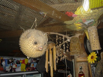 Inside Sunflower Bar in Ko Phi Phi island, Thailand