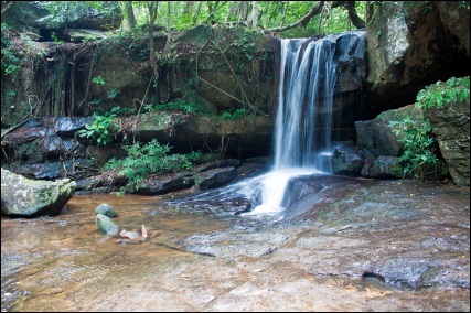 Jungle in Kbal Spean, Cambodia - ©iStockphoto.com/mathess