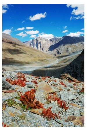 View of Kashmir area in India