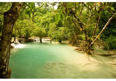 Tat Kuang si waterfalls in Luang Prabang, Laos, ©iStockphoto.com/Gareth Gough