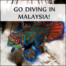 Go diving in Malaysia