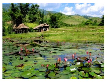 Lovely nature in north Thailand, ©iStockphoto.com/imagexphoto