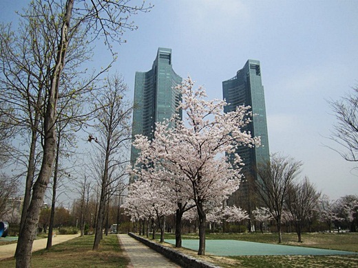 Seoul in South Korea in the spring