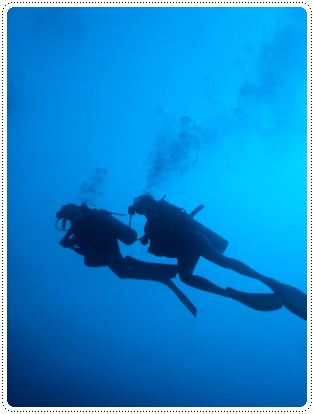 Two people diving together, ©iStockphoto.com/pniesen