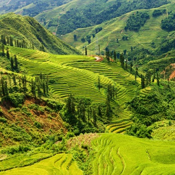 Sapa in north Vietnam, ©iStockphoto.com/Bartosz Hadyniak